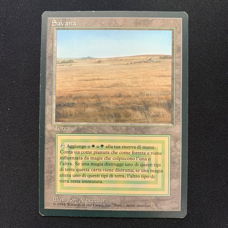 Magic the Gathering Savannah - Foreign Black Bordered - Italian 