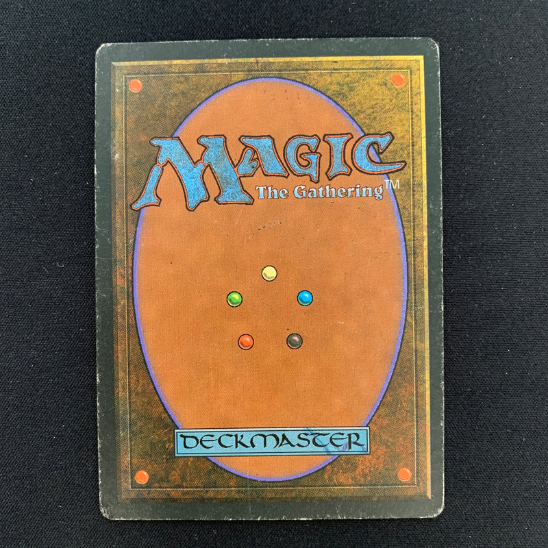 Magic the Gathering Savannah - Foreign Black Bordered - Italian 