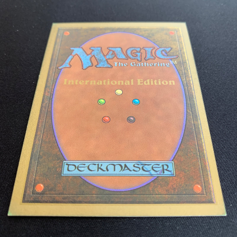 Magic the Gathering Savannah - International Edition 