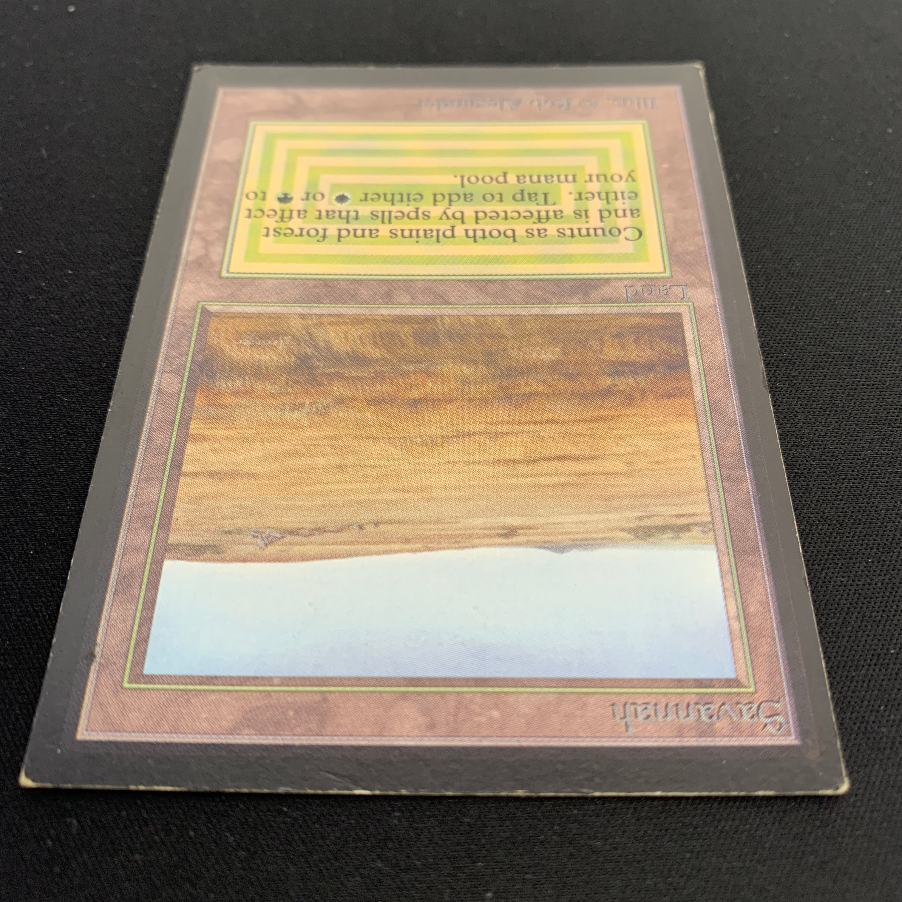 MTG Singles - Savannah - International Edition - 