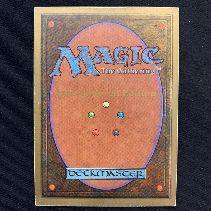 Magic the Gathering Savannah - International Edition 