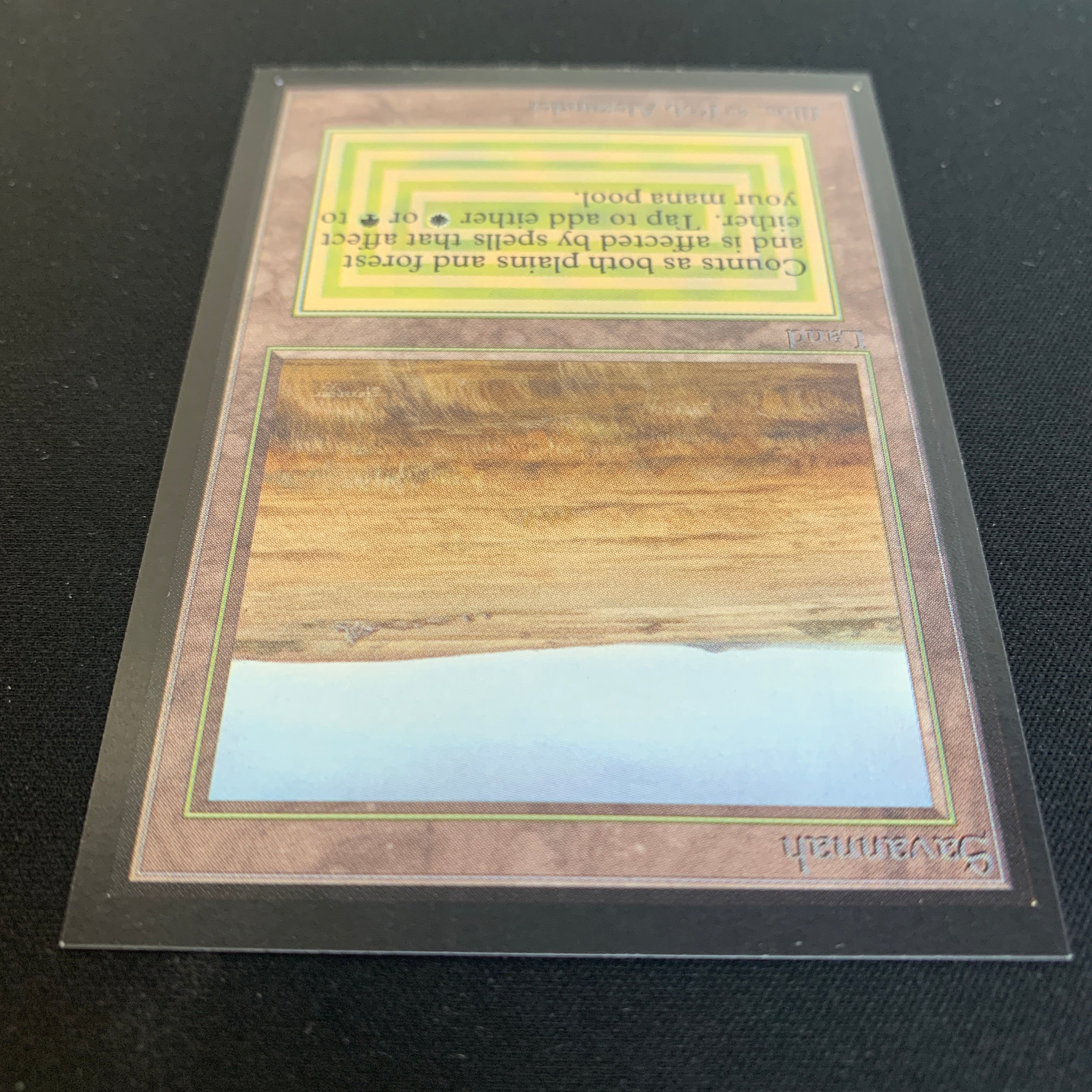 MTG Singles - Savannah - International Edition - 