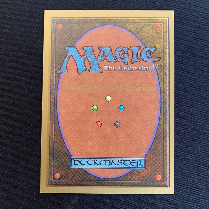 Magic the Gathering Savannah - International Edition 