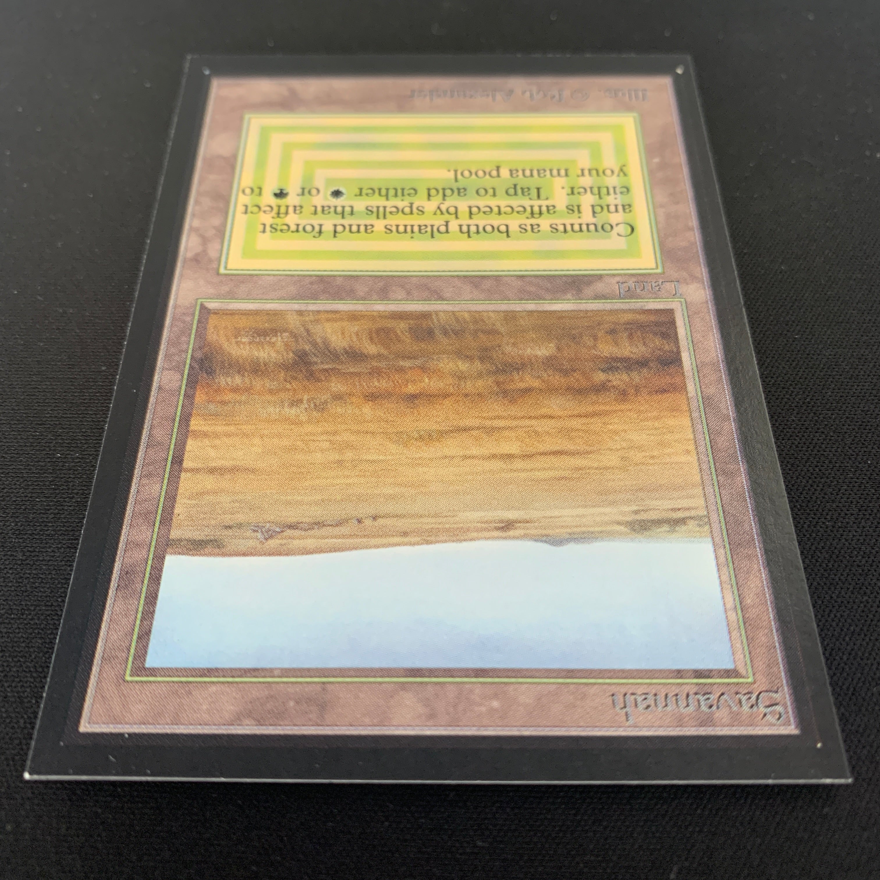 MTG Singles - Savannah - International Edition - 