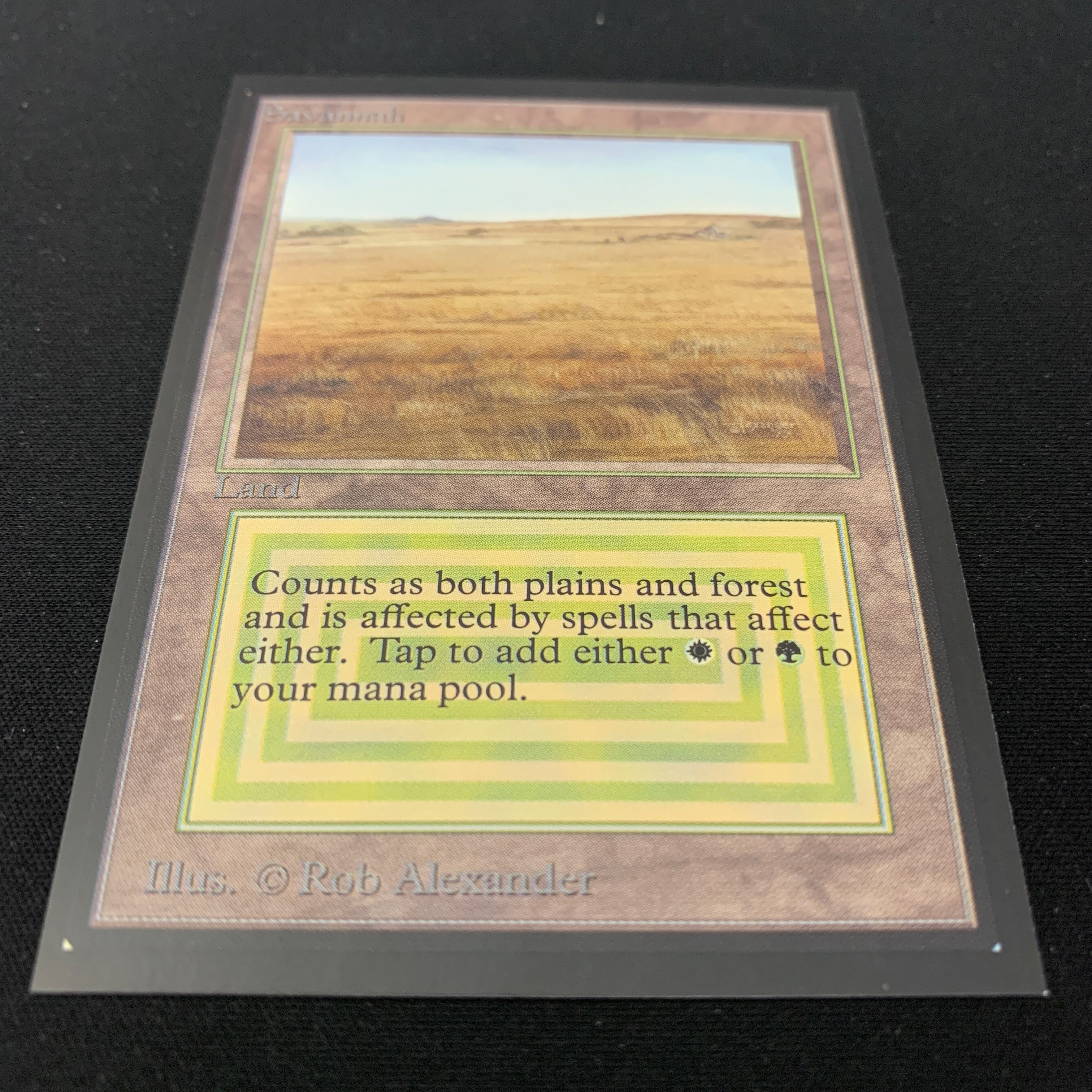 MTG Singles - Savannah - International Edition - 