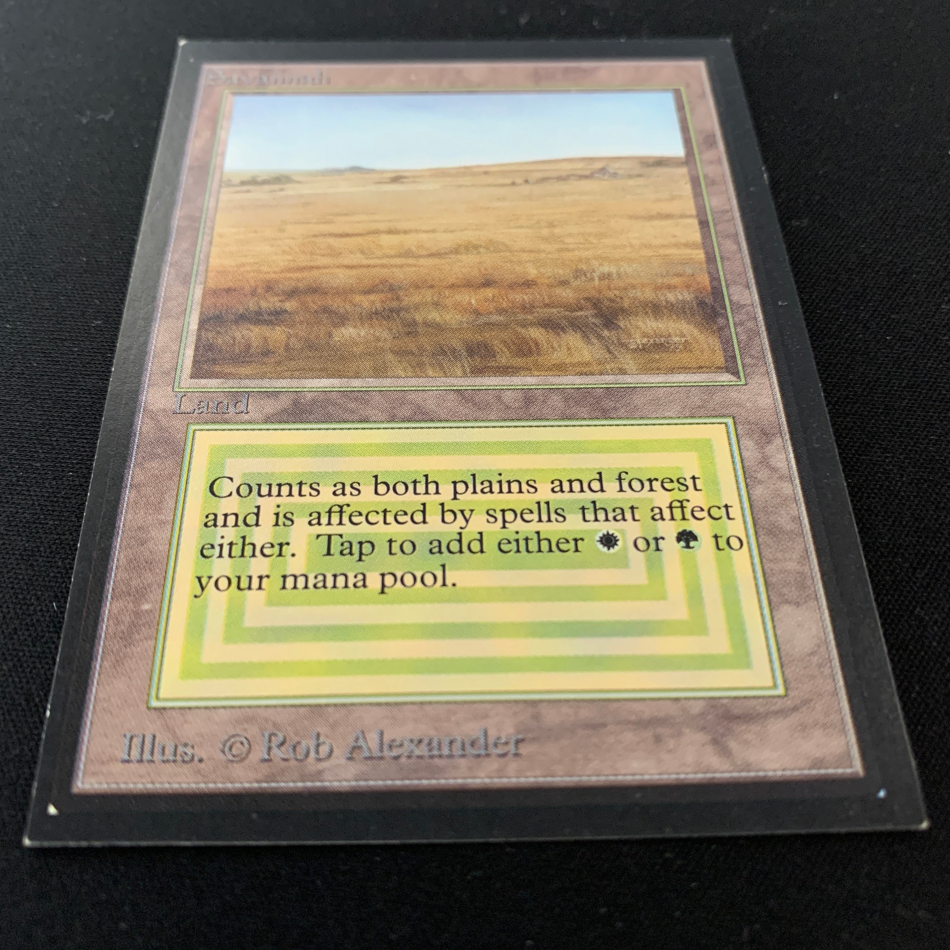 MTG Singles - Savannah - International Edition - 