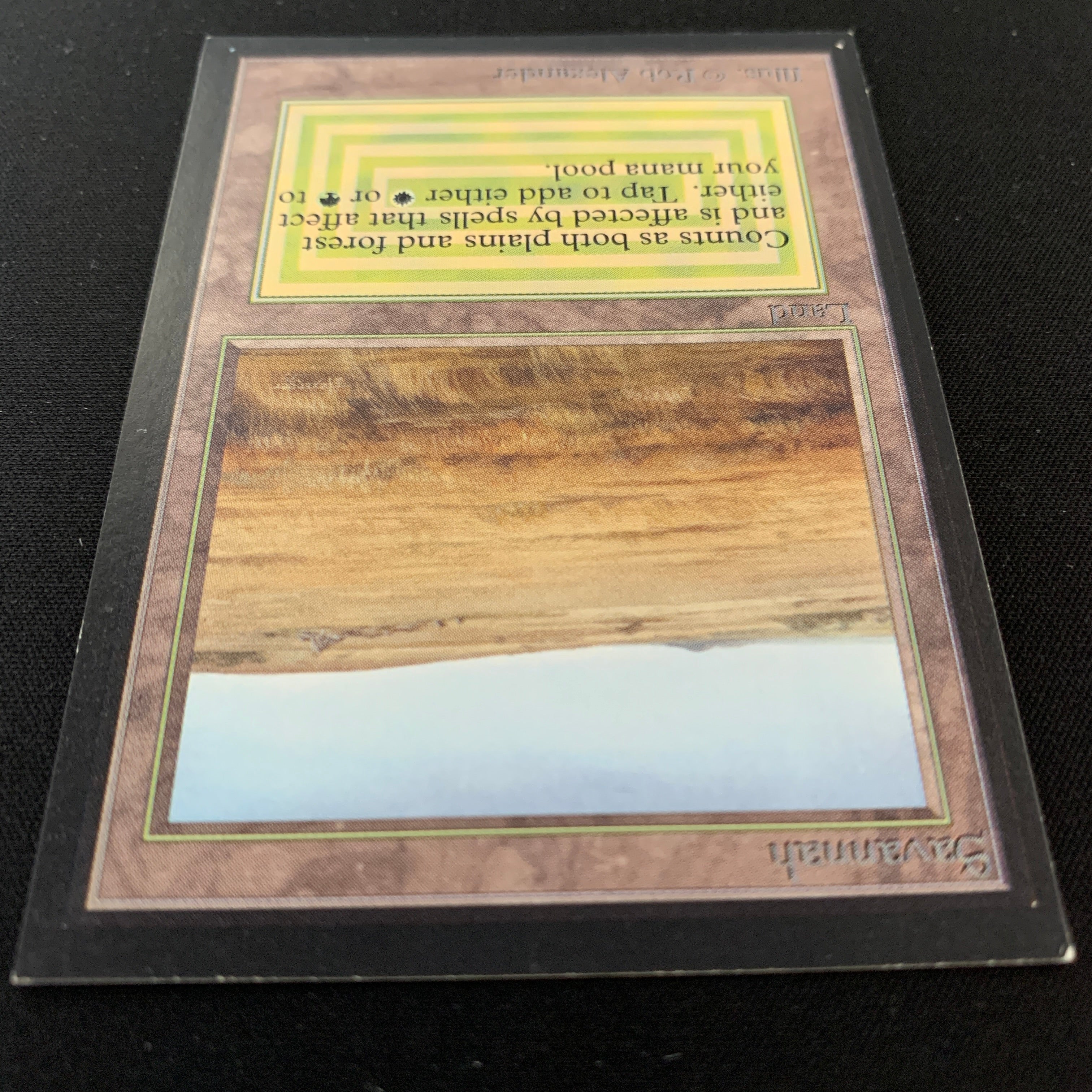 MTG Singles - Savannah - International Edition - 