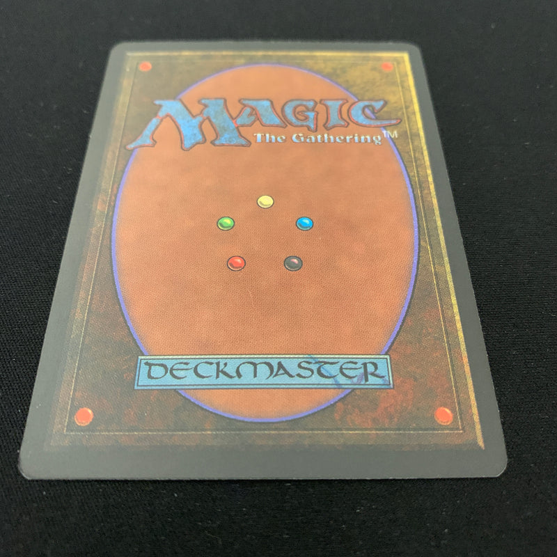 Magic the Gathering Savannah - Revised 