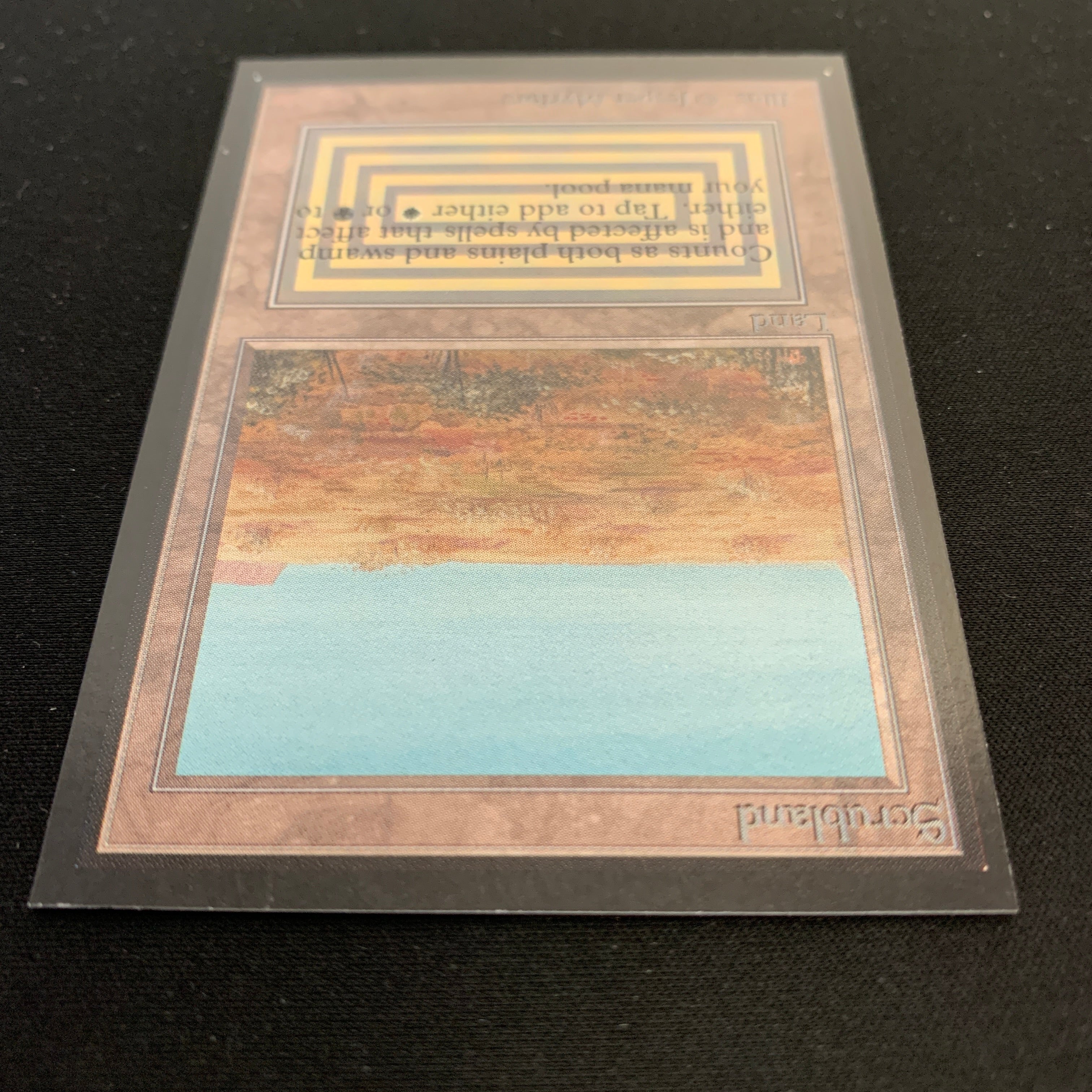 MTG Singles - Scrubland - Collectors' Edition - 