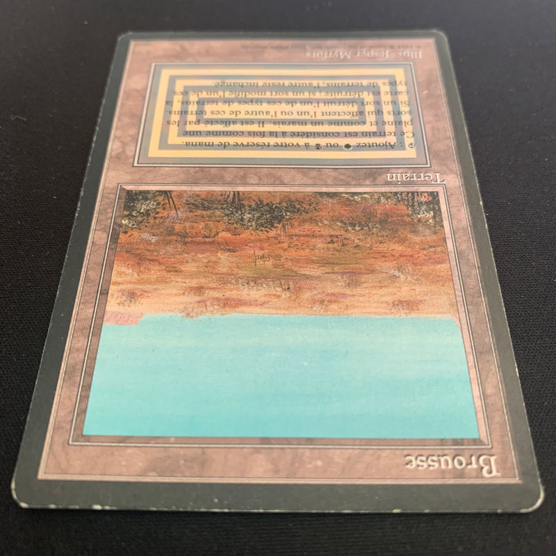 Magic the Gathering Scrubland - Foreign Black Bordered - French 