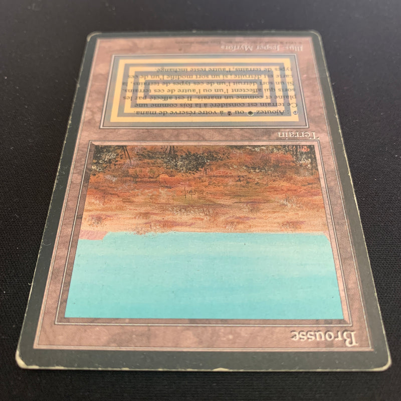 Magic the Gathering Scrubland - Foreign Black Bordered - French 