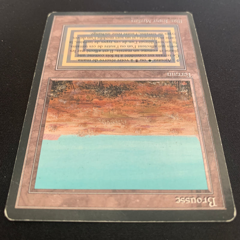 Magic the Gathering Scrubland - Foreign Black Bordered - French 