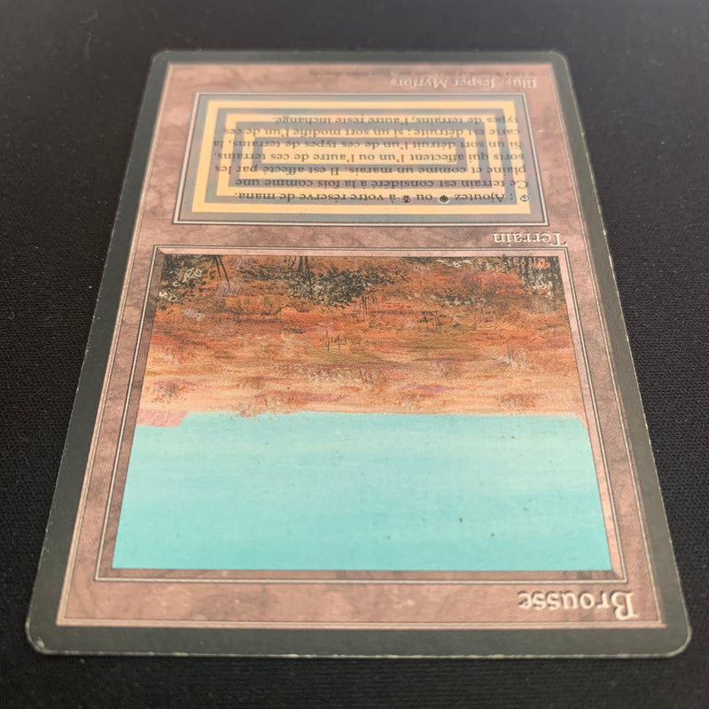 Magic the Gathering Scrubland - Foreign Black Bordered - French 