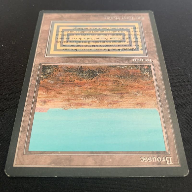 Magic the Gathering Scrubland - Foreign Black Bordered - French 