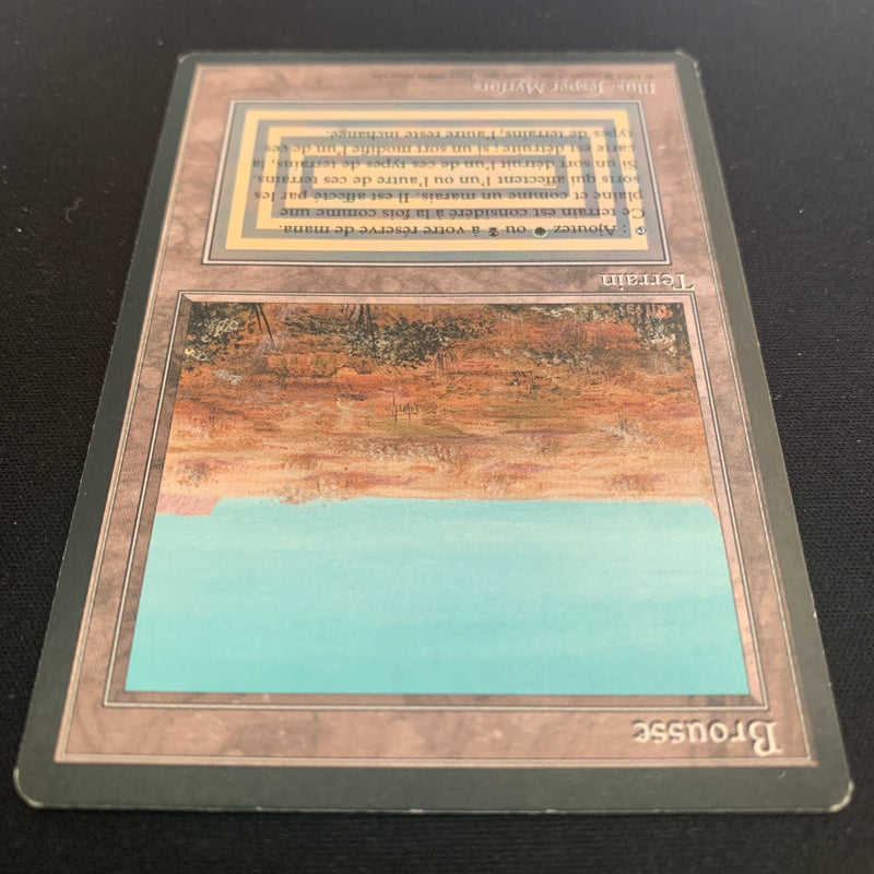 Magic the Gathering Scrubland - Foreign Black Bordered - French 