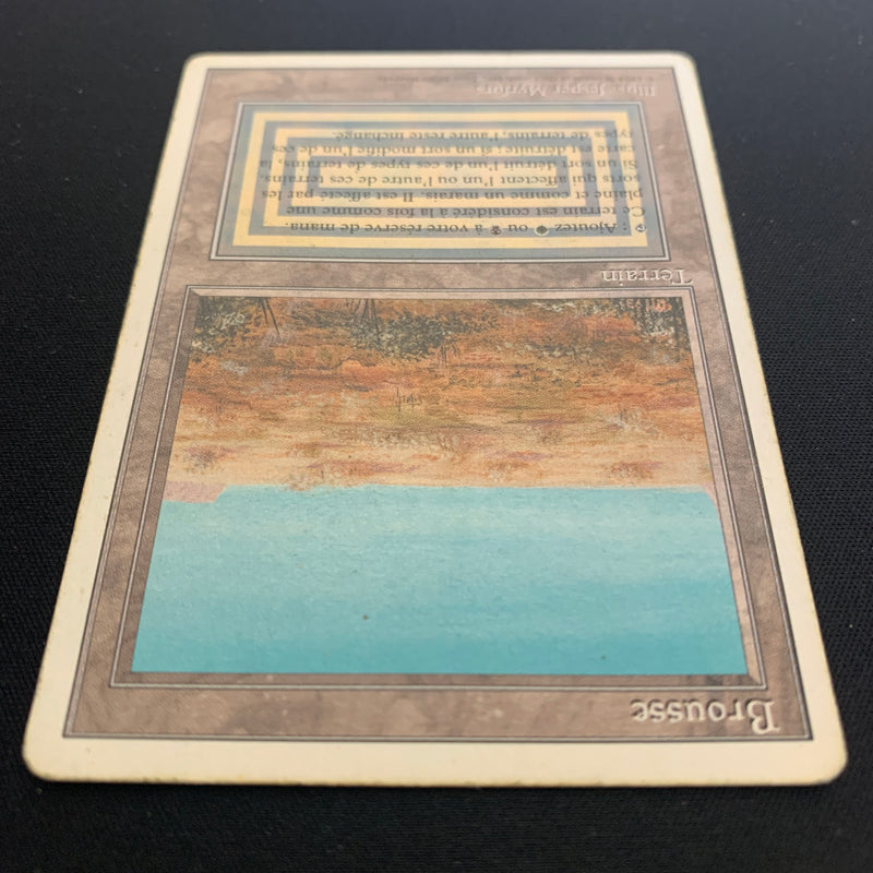 Magic the Gathering Scrubland - Foreign White Bordered - French 