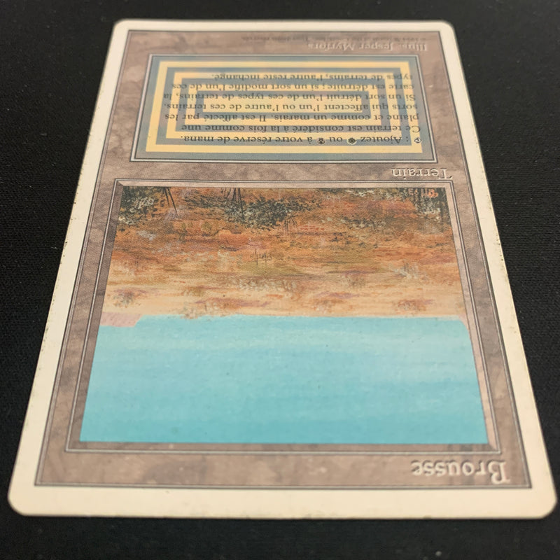 Magic the Gathering Scrubland - Foreign White Bordered - French 