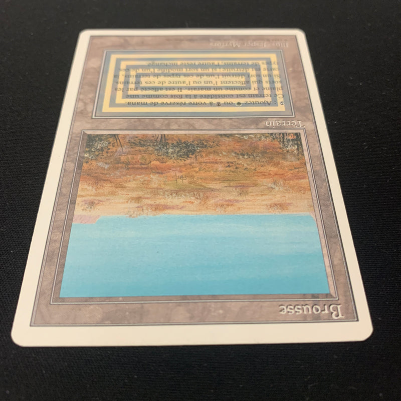 Magic the Gathering Scrubland - Foreign White Bordered - French 