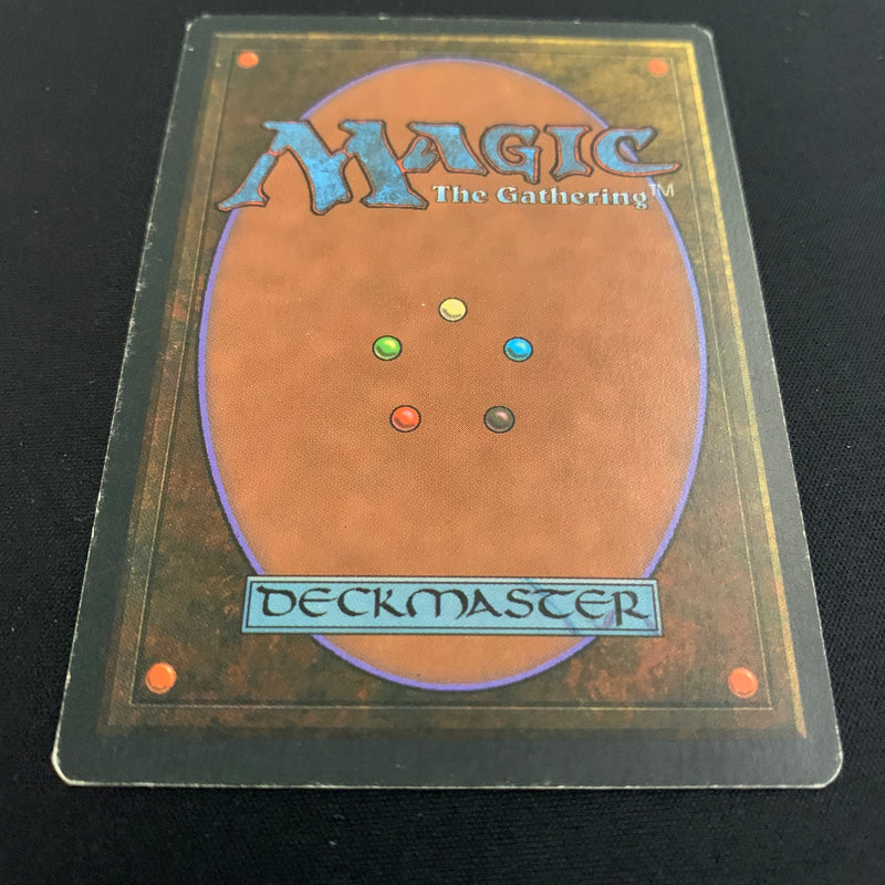 Magic the Gathering Scrubland - Foreign White Bordered - Italian 