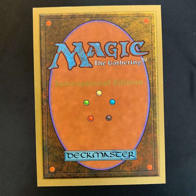 Magic the Gathering Scrubland - International Edition 