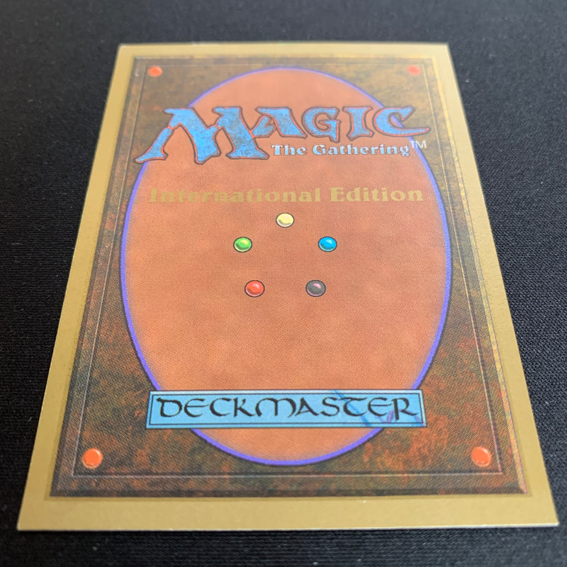 Magic the Gathering Scrubland - International Edition 