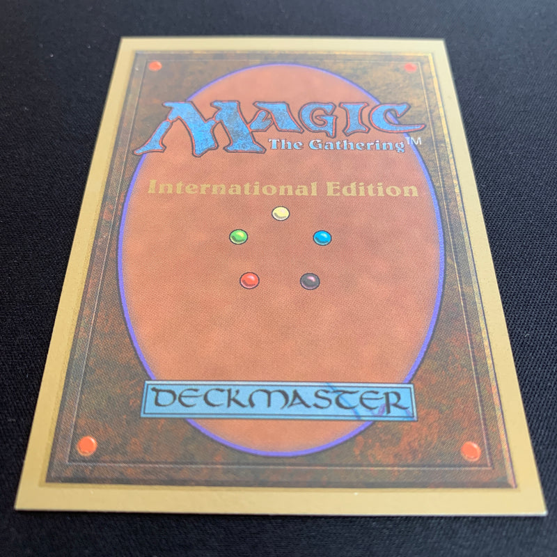 Magic the Gathering Scrubland - International Edition 