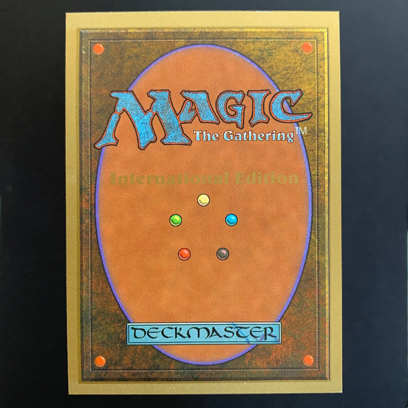 Magic the Gathering Scrubland - International Edition 