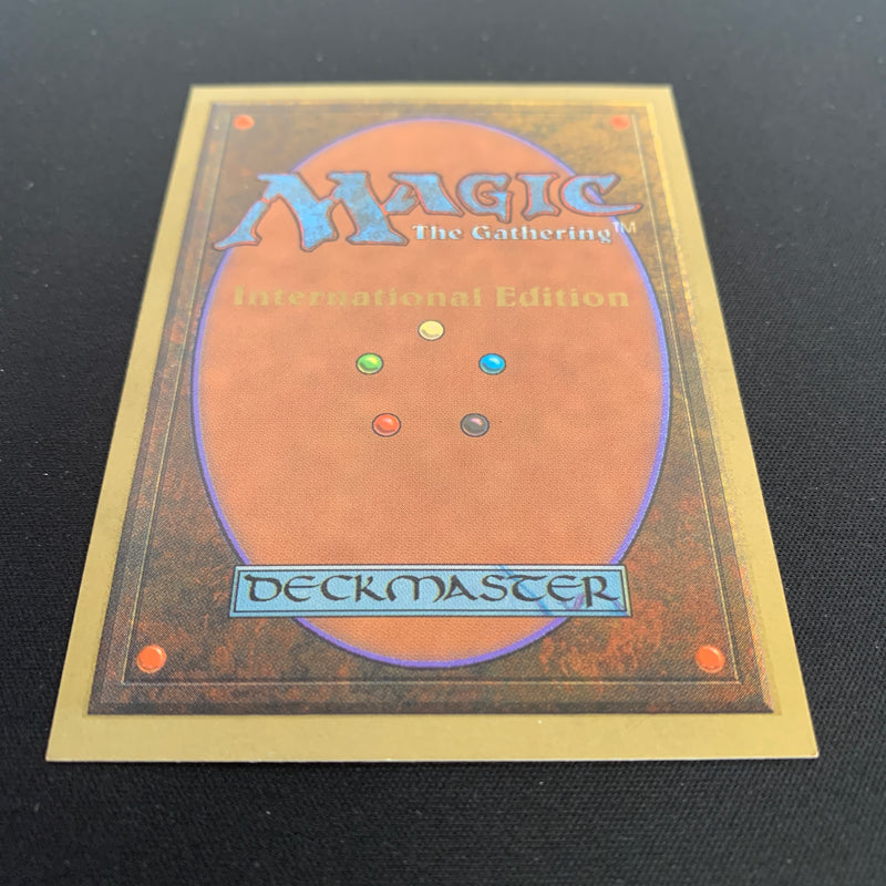 Magic the Gathering Scrubland - International Edition 