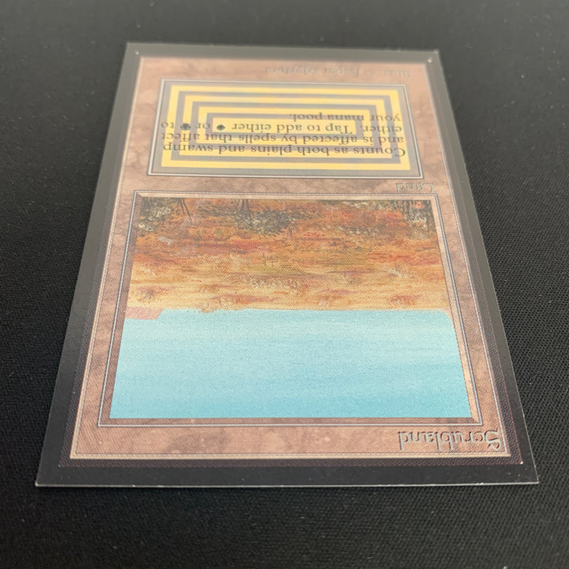 Magic the Gathering Scrubland - International Edition 