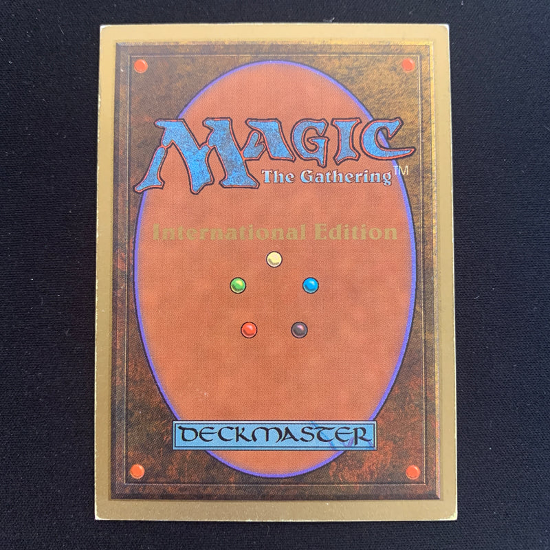 Magic the Gathering Scrubland - International Edition 