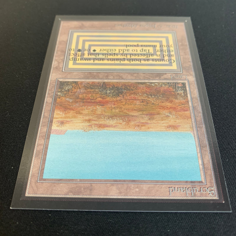 Magic the Gathering Scrubland - International Edition 