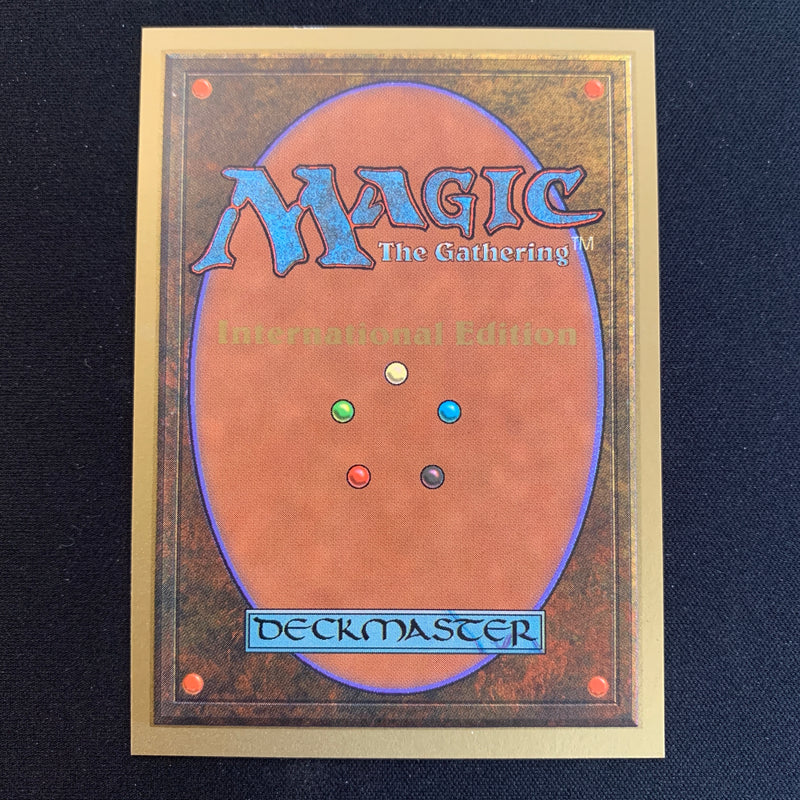 Magic the Gathering Scrubland - International Edition 