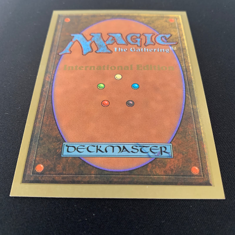 Magic the Gathering Scrubland - International Edition 