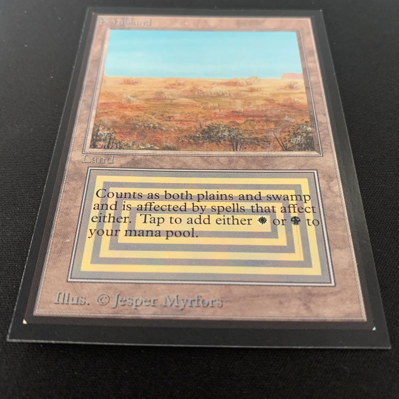 Magic the Gathering Scrubland - International Edition 