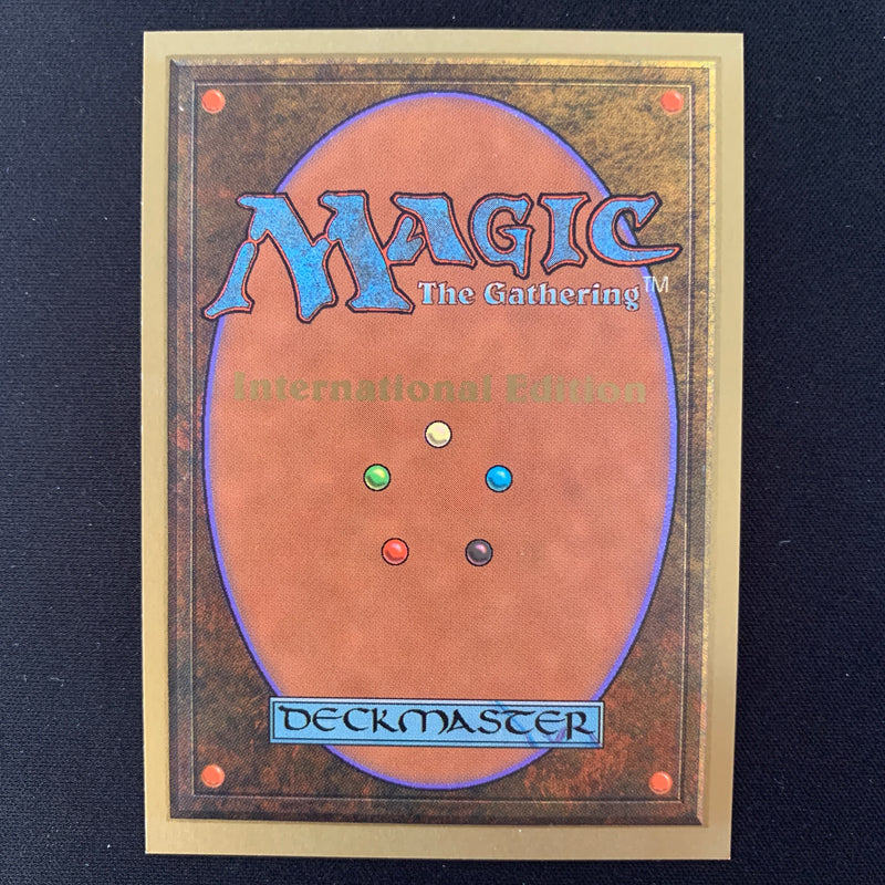 Magic the Gathering Scrubland - International Edition 