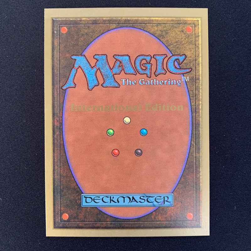 Magic the Gathering Scrubland - International Edition 