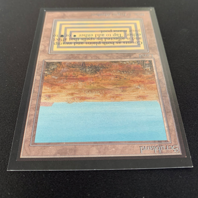 Magic the Gathering Scrubland - International Edition 