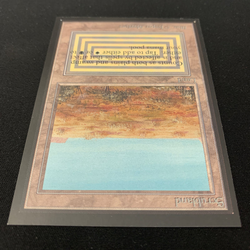 Magic the Gathering Scrubland - International Edition 