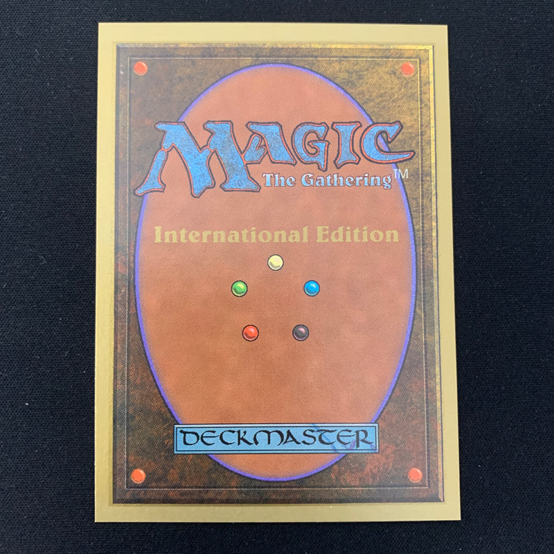 Magic the Gathering Scrubland - International Edition 