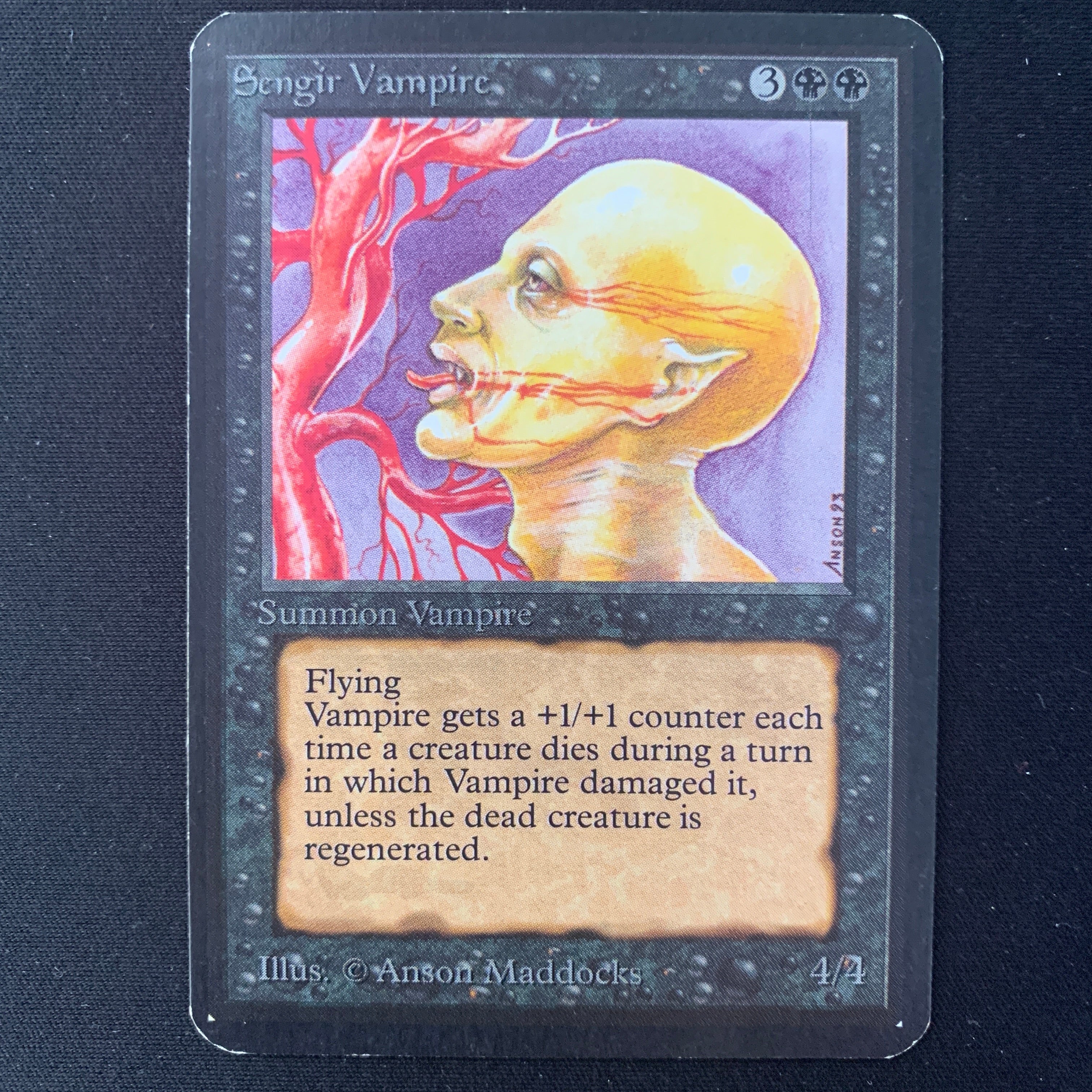 MTG Singles - Sengir Vampire - Alpha - 
