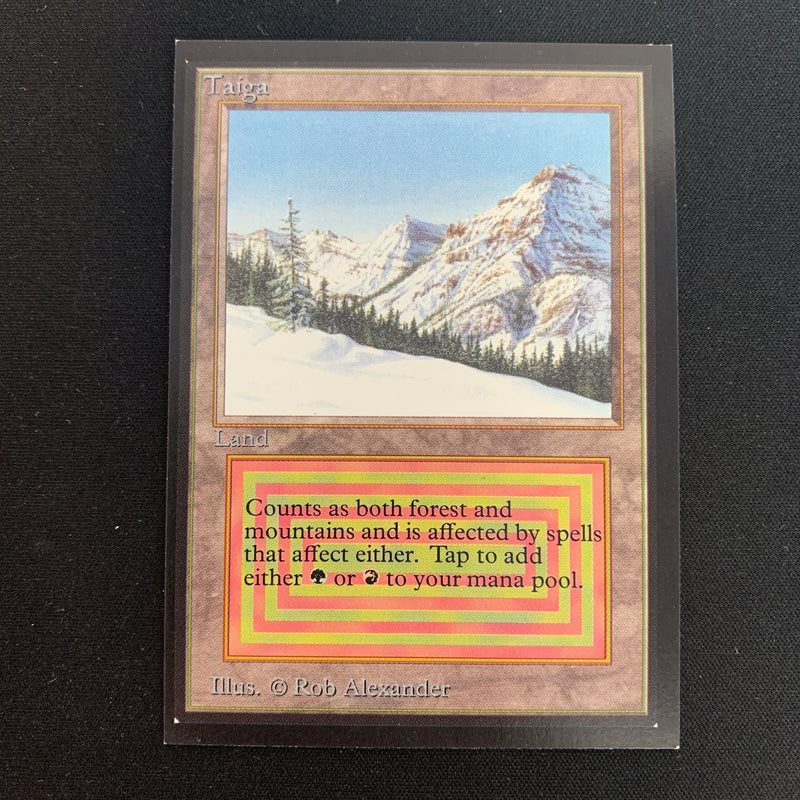 Magic the Gathering Taiga - Collectors' Edition 