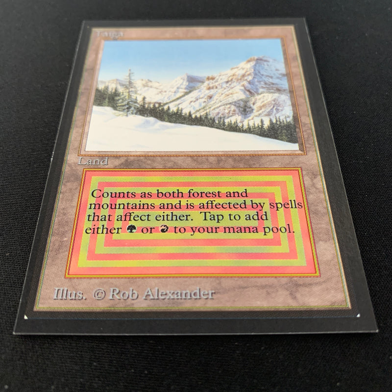 Magic the Gathering Taiga - Collectors' Edition 