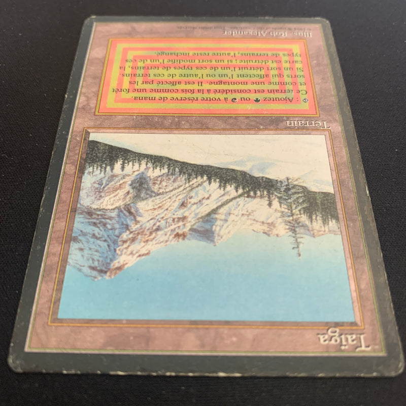 Magic the Gathering Taiga - Foreign Black Bordered - French 