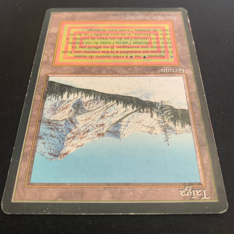 Magic the Gathering Taiga - Foreign Black Bordered - French 