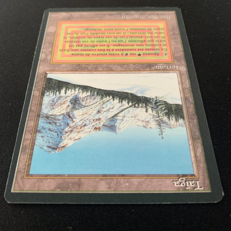 Magic the Gathering Taiga - Foreign Black Bordered - French 