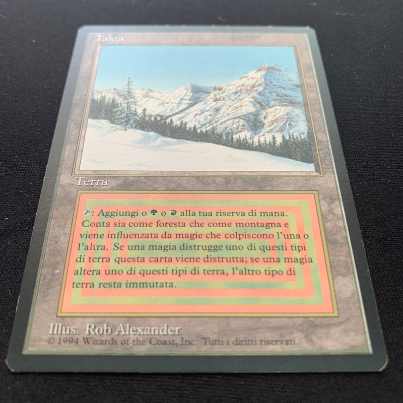 Magic the Gathering Taiga - Foreign Black Bordered - Italian 