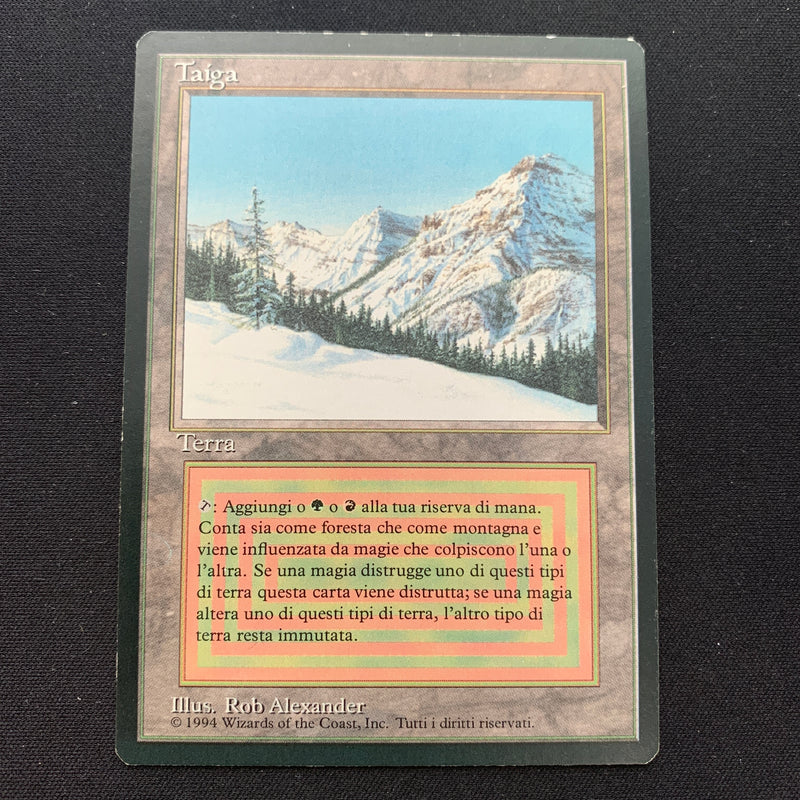 Magic the Gathering Taiga - Foreign Black Bordered - Italian 