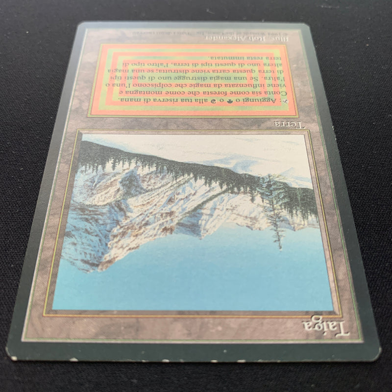 Magic the Gathering Taiga - Foreign Black Bordered - Italian 