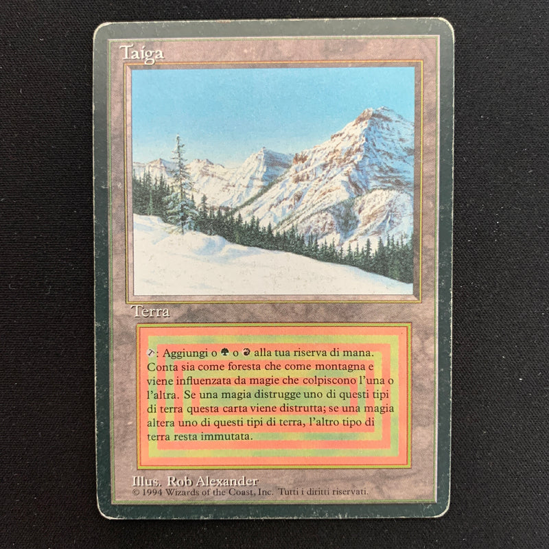 Magic the Gathering Taiga - Foreign Black Bordered - Italian 