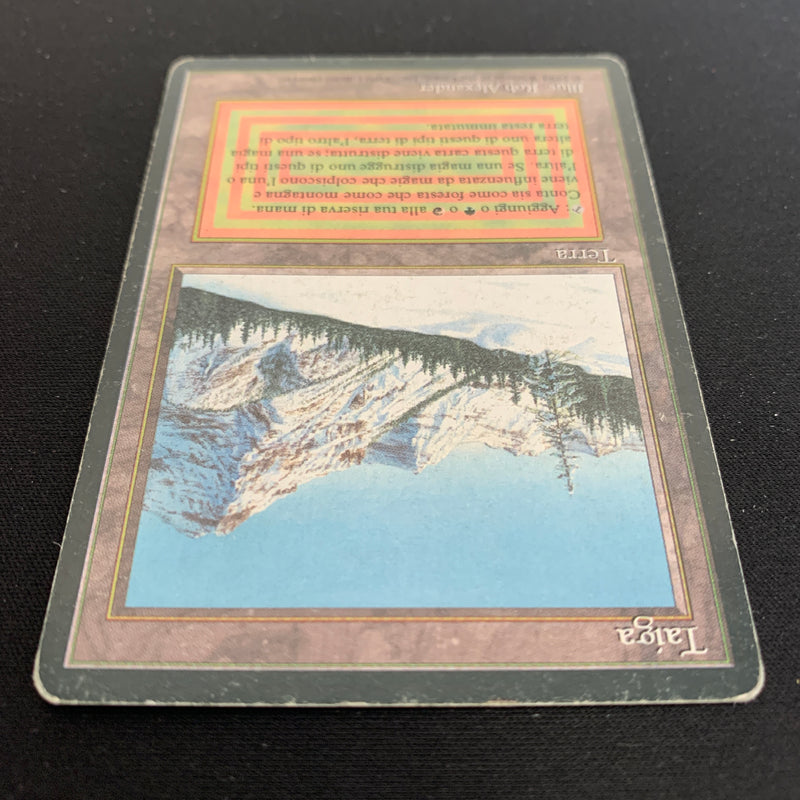 Magic the Gathering Taiga - Foreign Black Bordered - Italian 